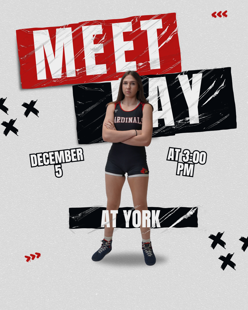 Girls Wrestling At York (1)