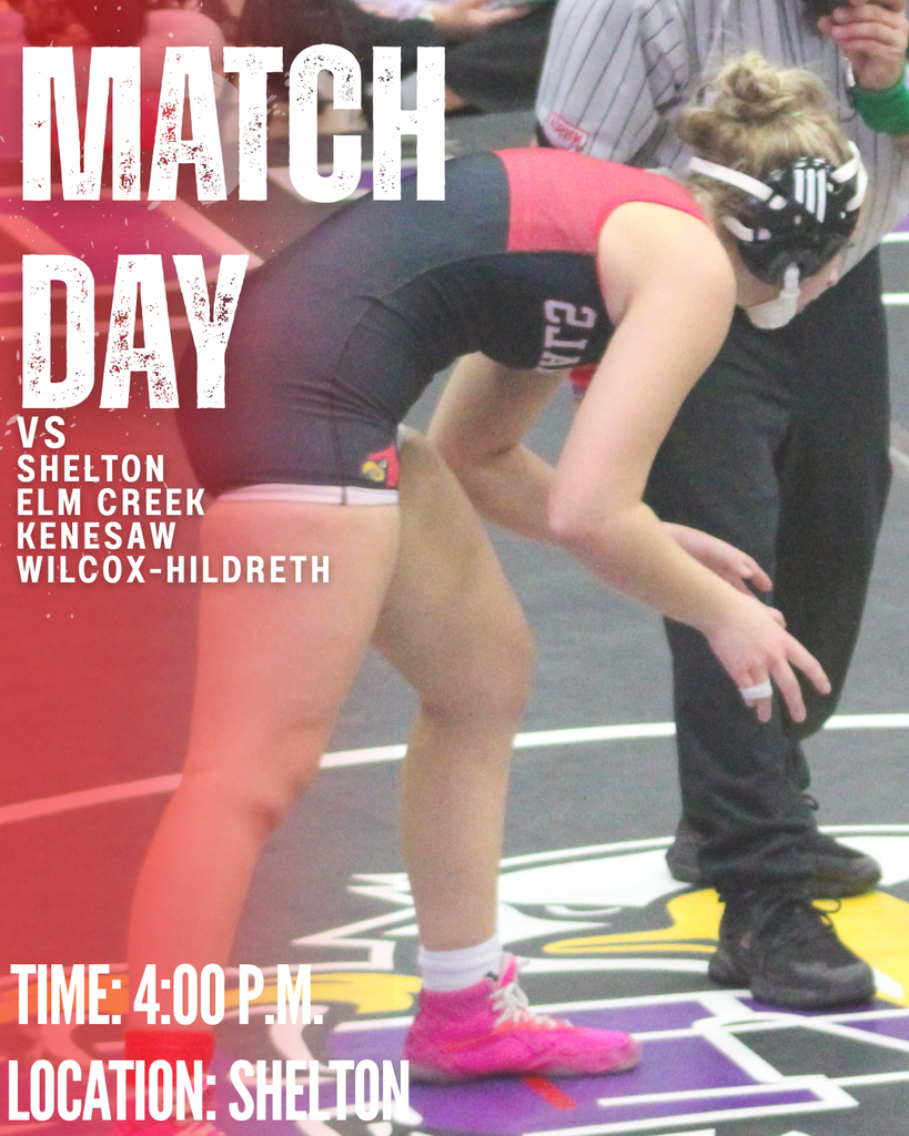 GAME DAY POST (1) copy