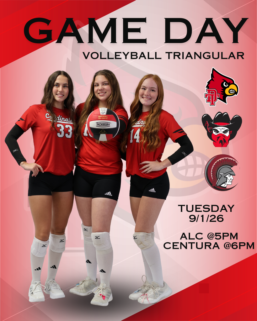 Volleyball Triangular