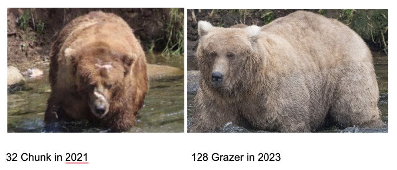 Two fat bears: 32 Chung and 128 Grazer