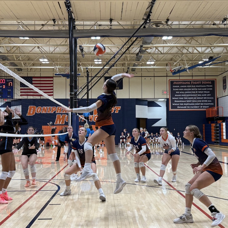 VB