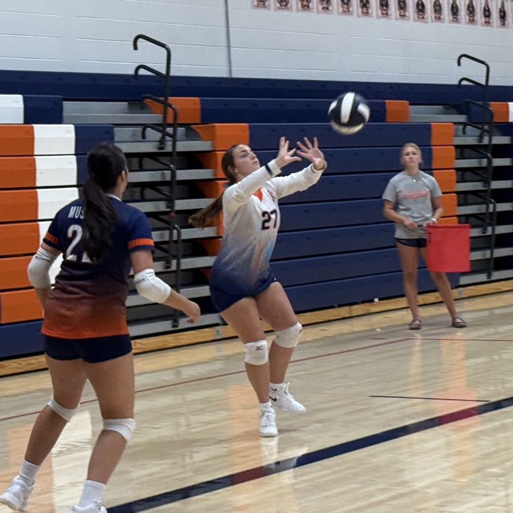 VB
