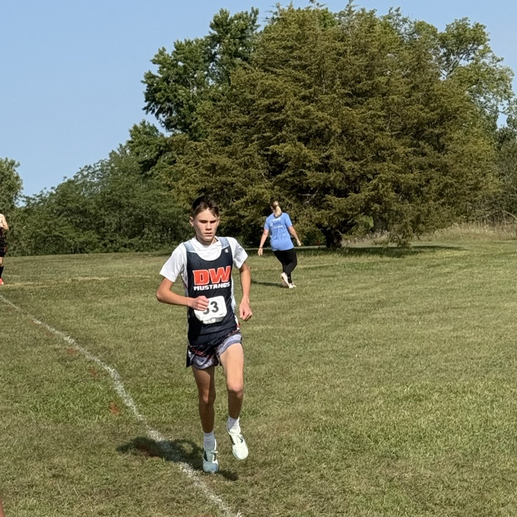 HS CC
