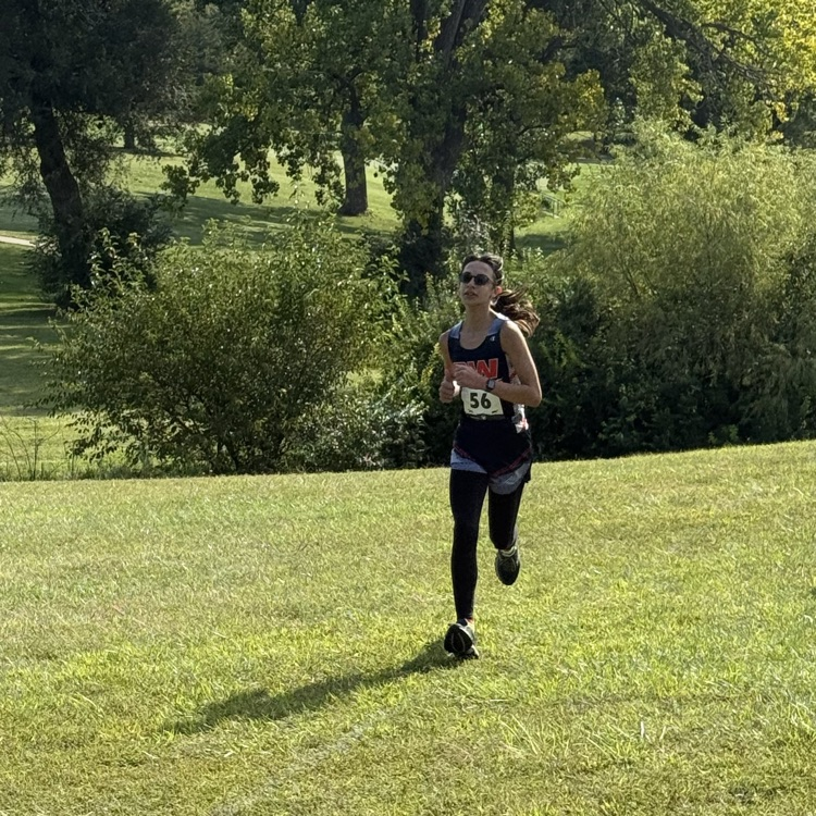 HS CC
