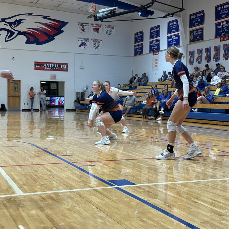 HS VB