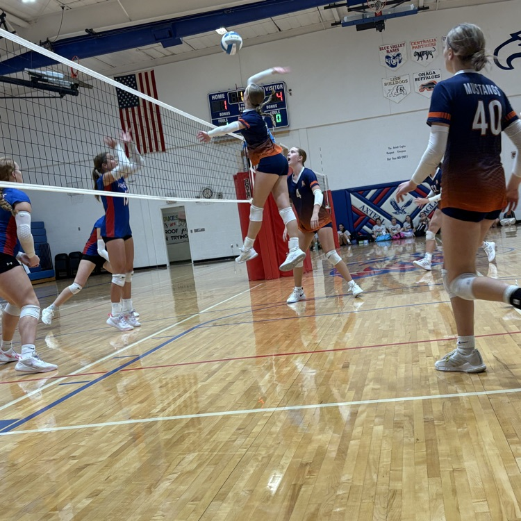 HS VB