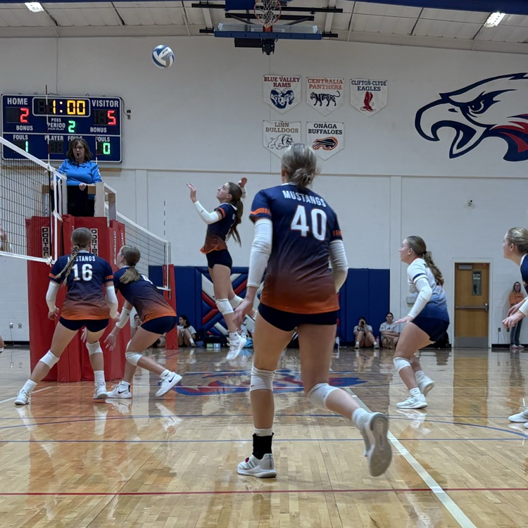HS VB