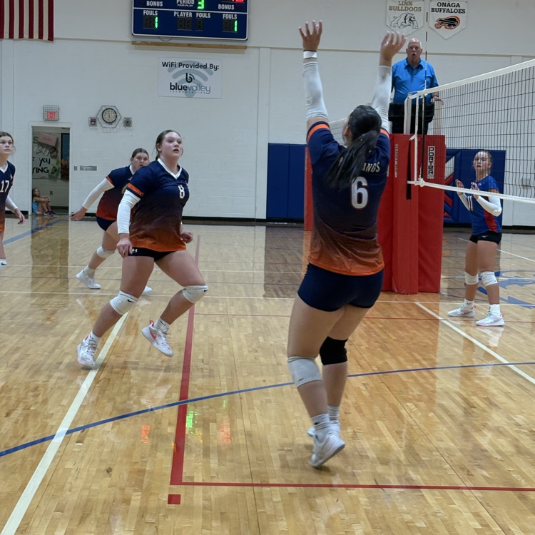 HS VB