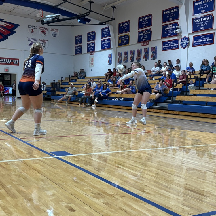 HS VB