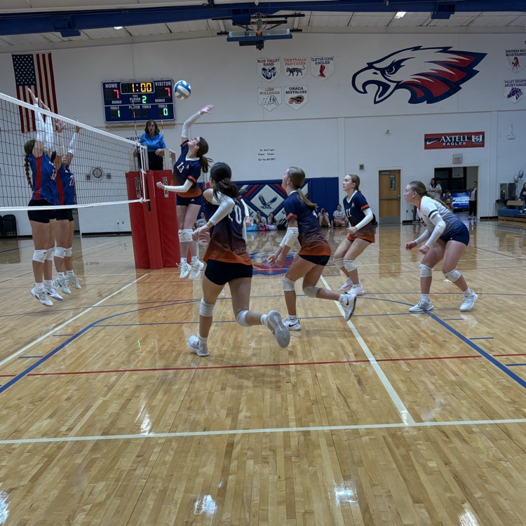 HS VB