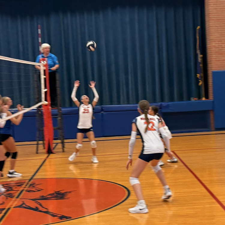 VB