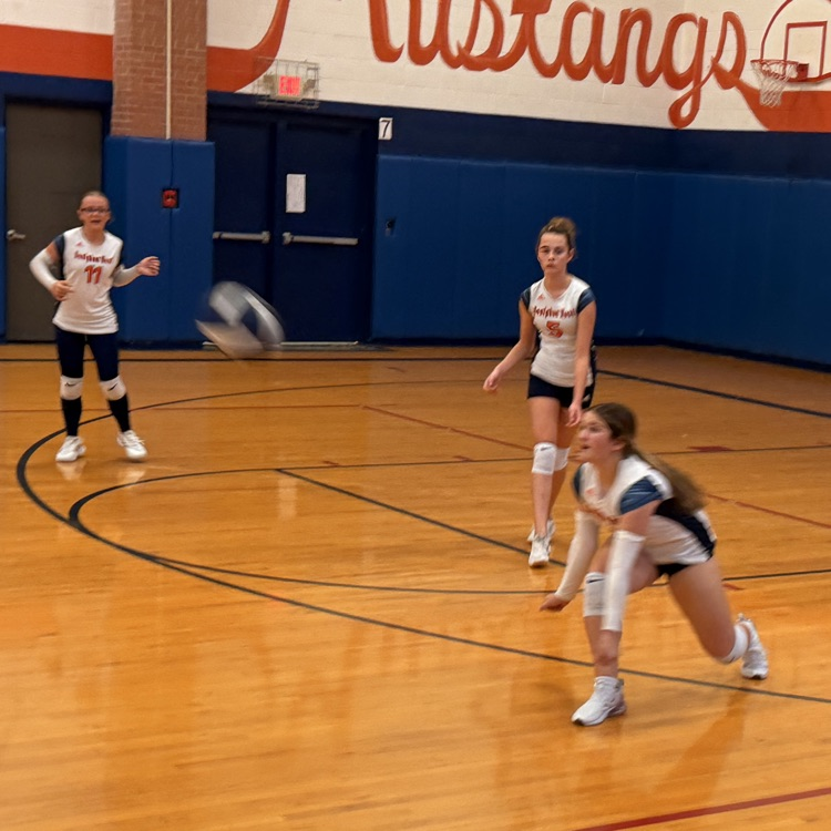VB