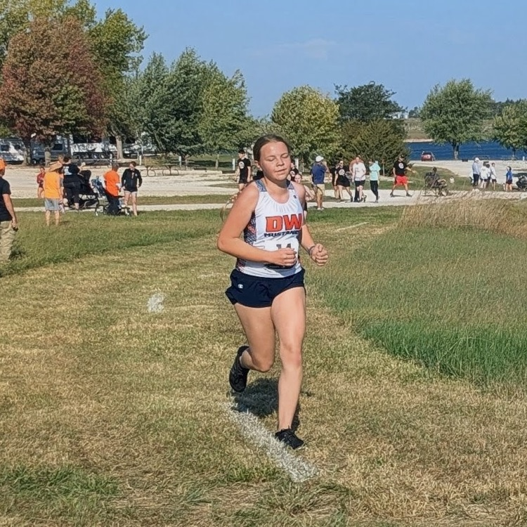 HS CC