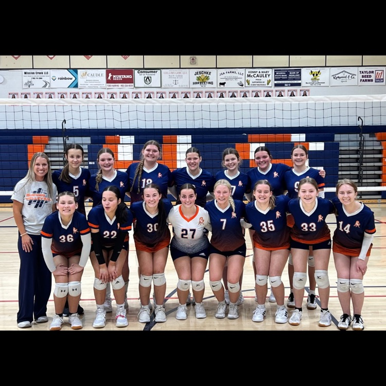 HS VB