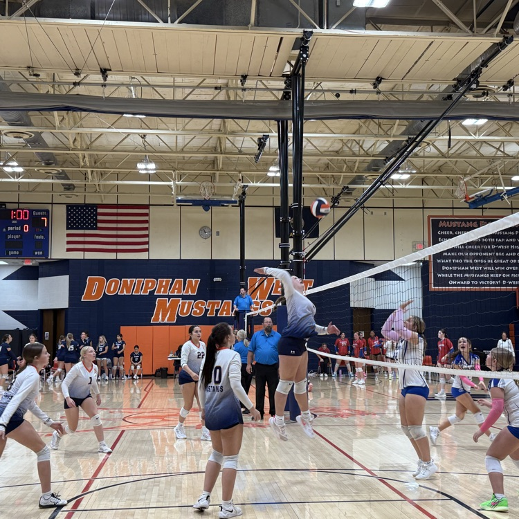 HS VB