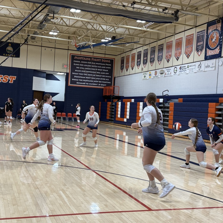 HS VB