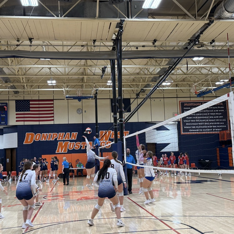 HS VB