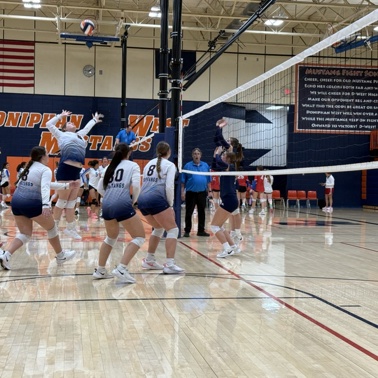 HS VB