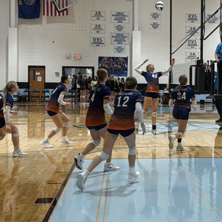 HS VB