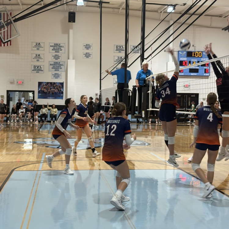 HS VB