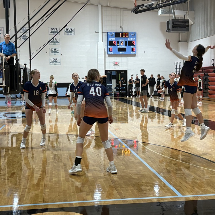 HS VB