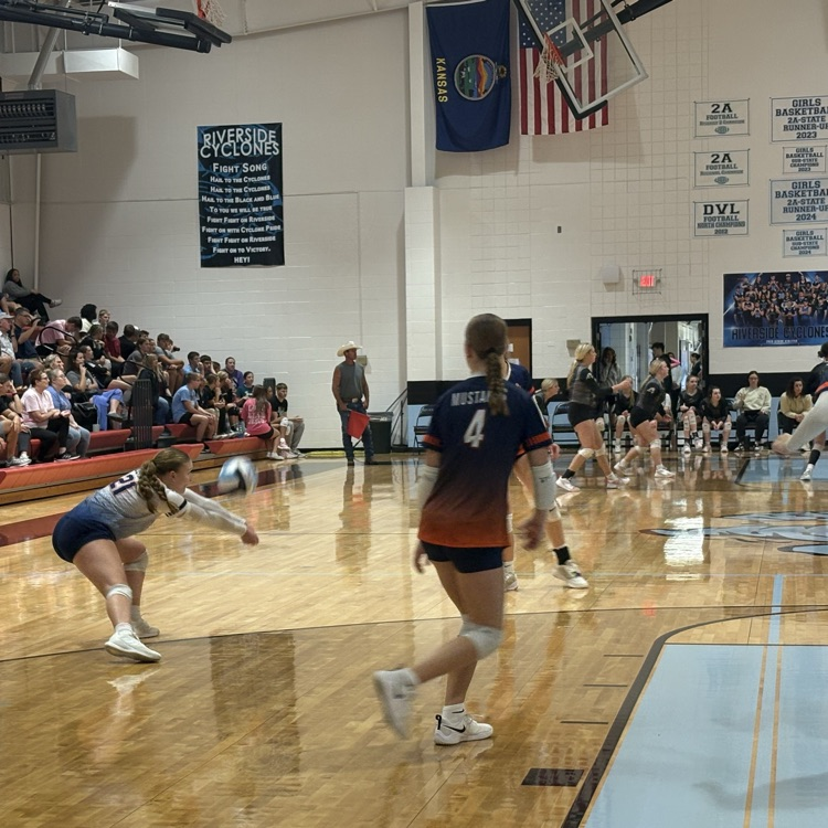 HS VB