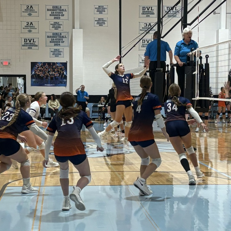 HS VB