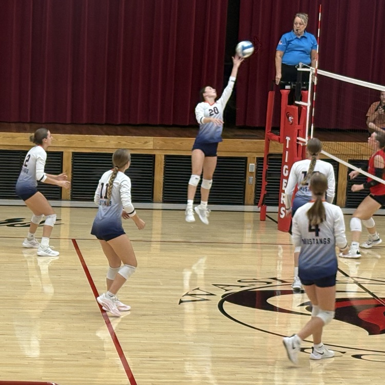HS VB