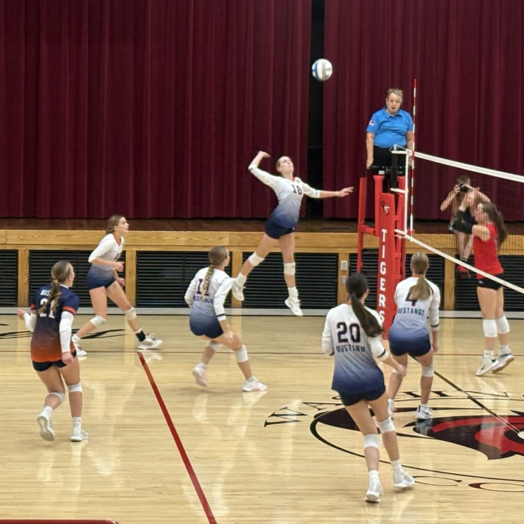 HS VB