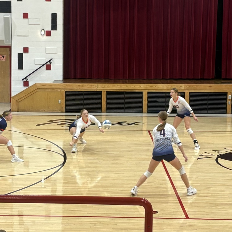 HS VB