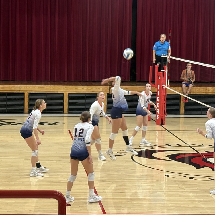 HS VB