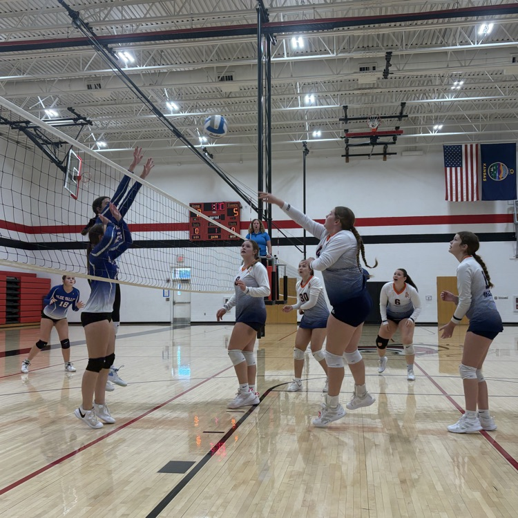 HS VB