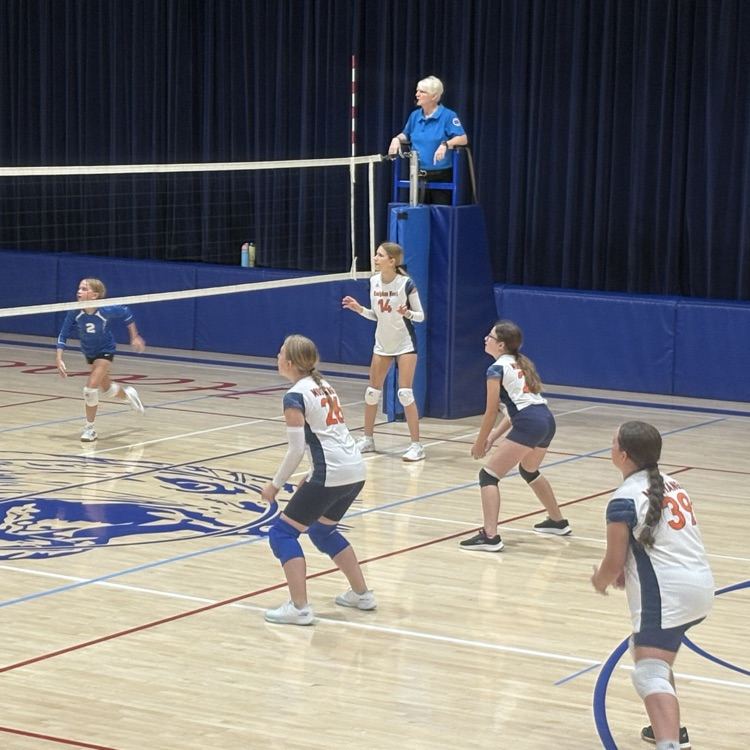JH VB
