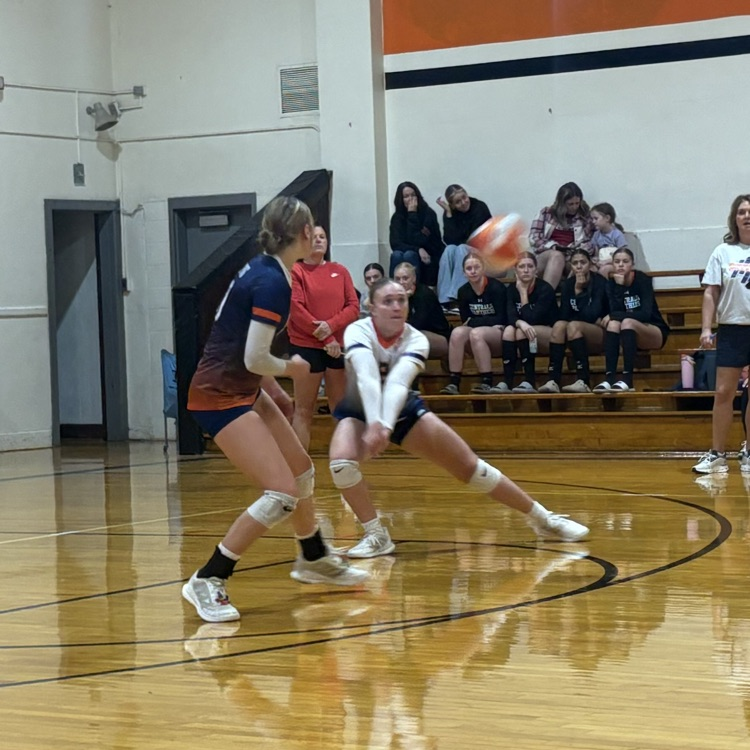HS VB