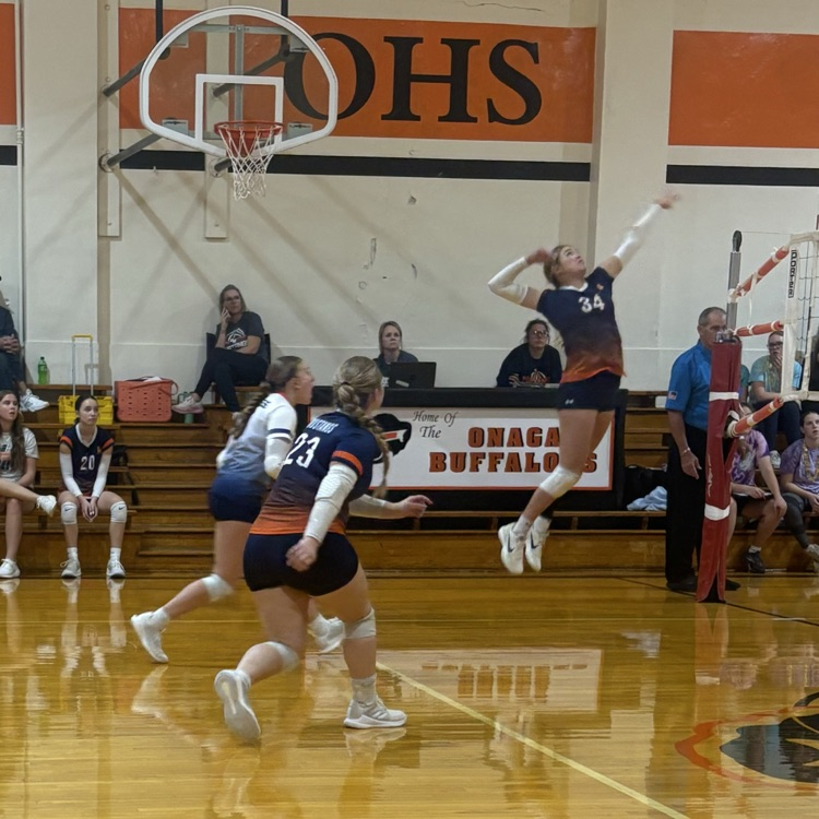 HS VB