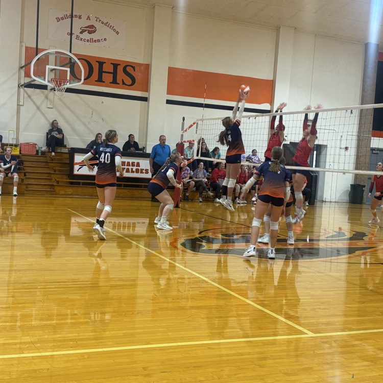 HS VB
