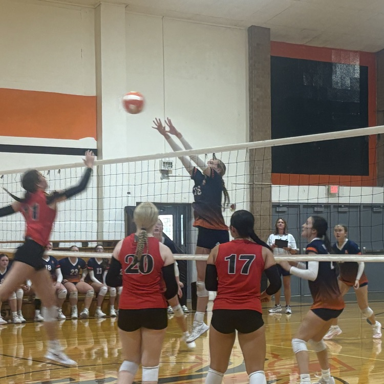 HS VB