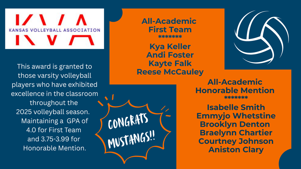 High School Volleyball 2025