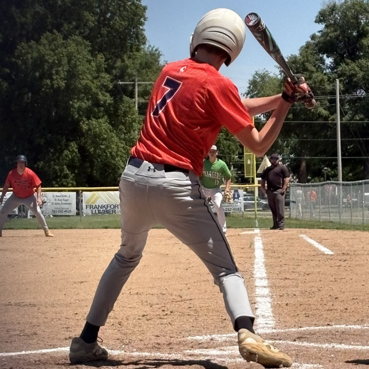 DW Baseball