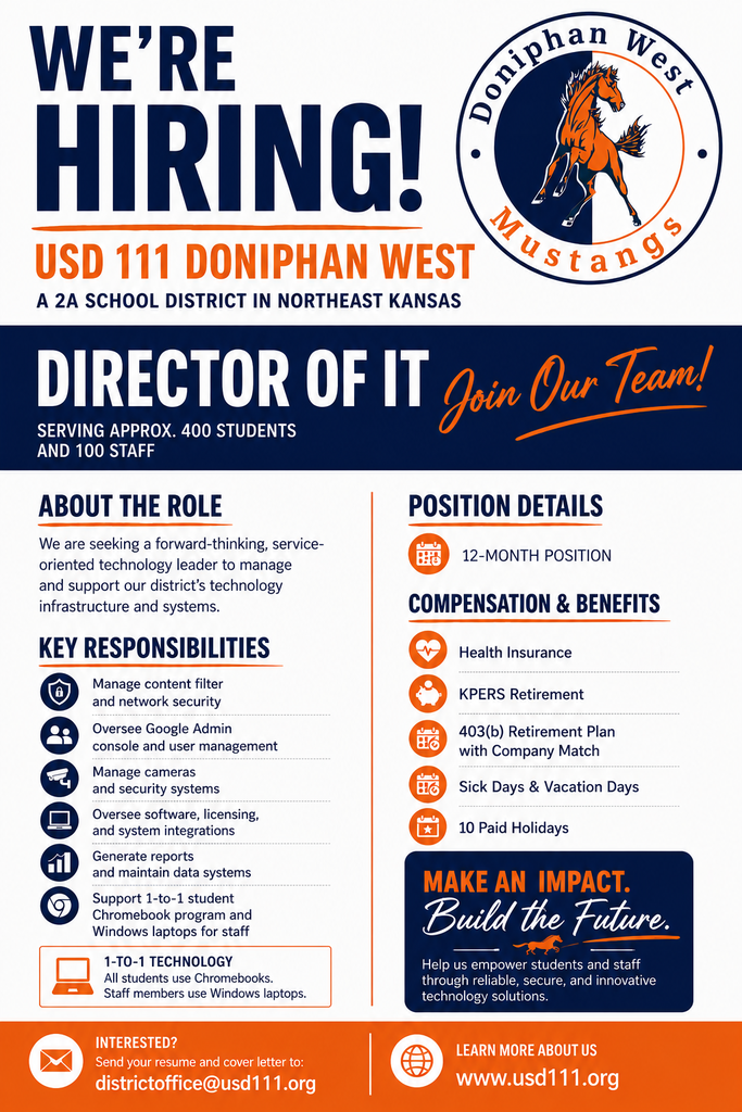 USD 111 Director of IT job posting