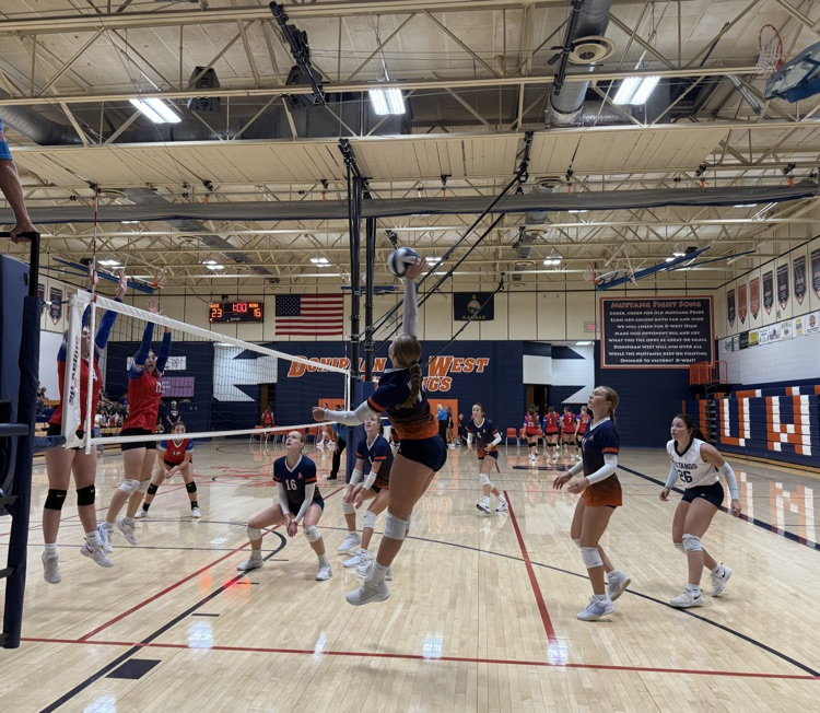 HS VB