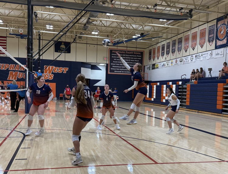 HS VB