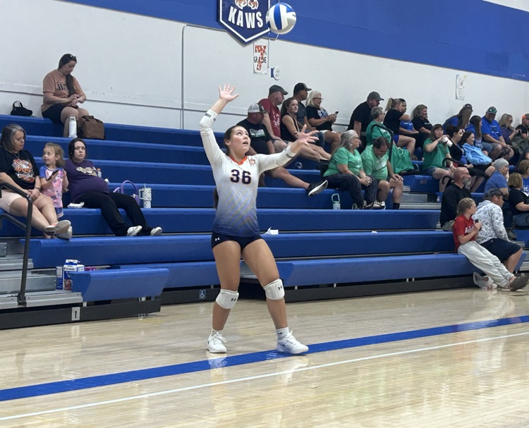 HS VB