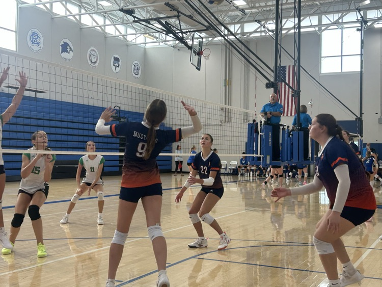 HS VB