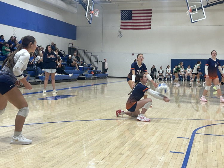 HS VB