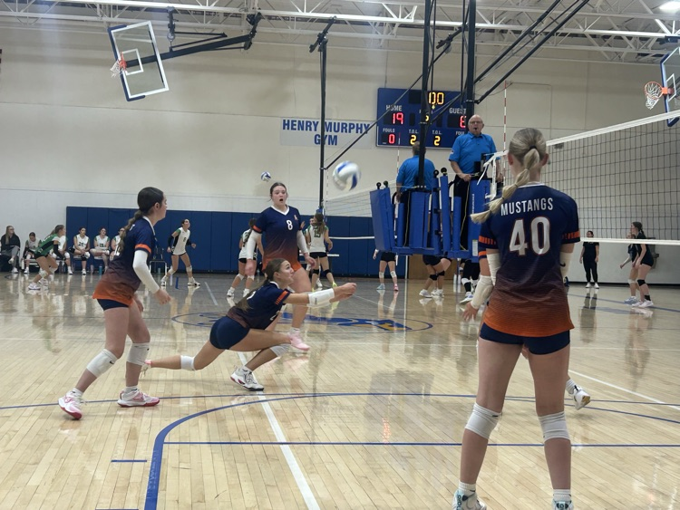 HS VB