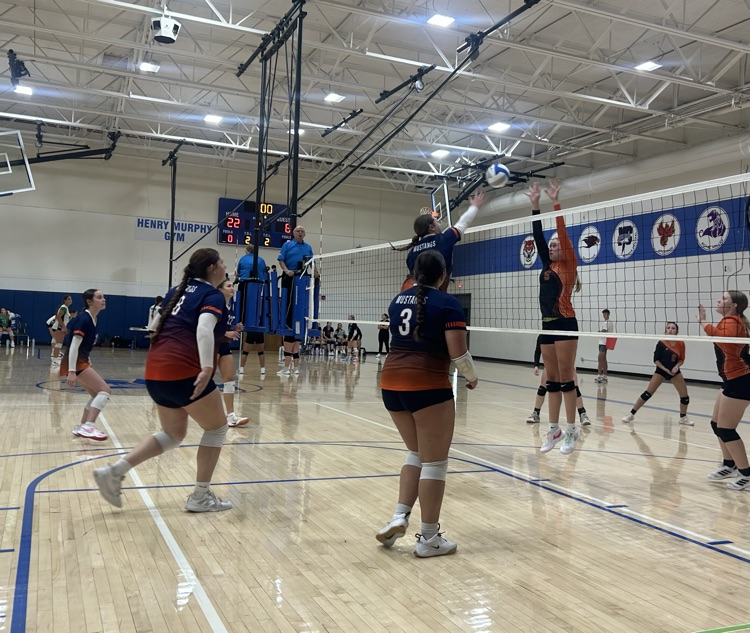 HS VB