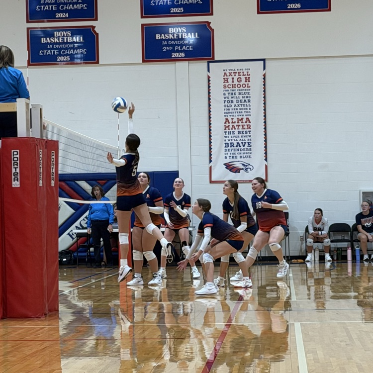 HS VB