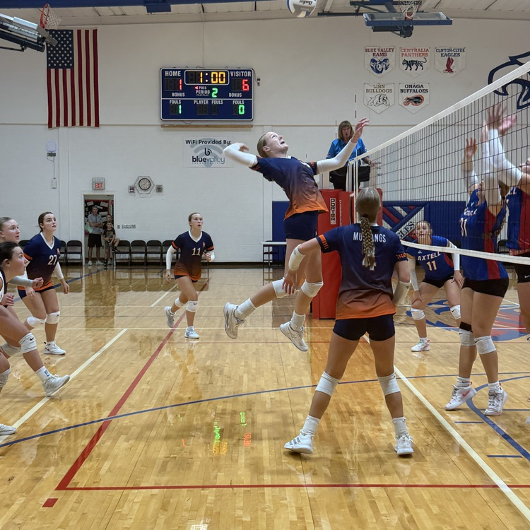 HS VB
