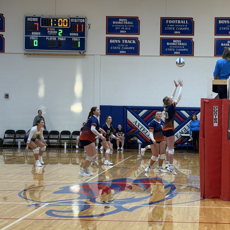 HS VB
